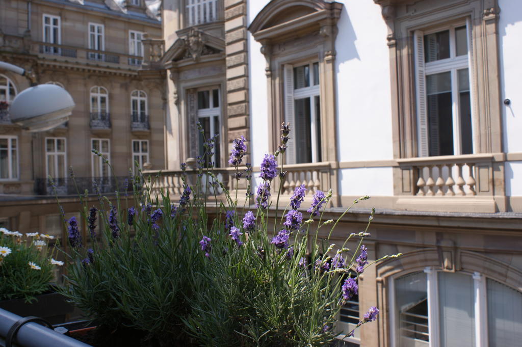 Studio De L'Hotel De Ville Strasbourg Eksteriør billede